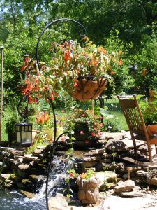 Outdoor Landscaping Photo