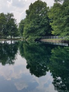Picture of a Lake in St. Louis