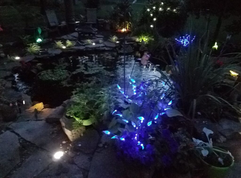 Koi pond illuminated with landscape lighting at night