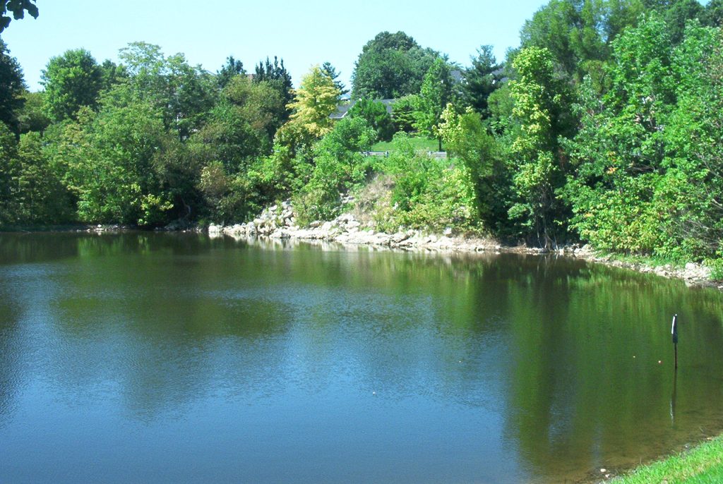 Healthy pond with clear water and natural shoreline