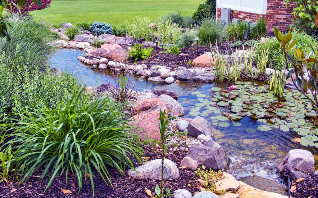 Landscaped koi pond with rocks, plants, and shallow stream