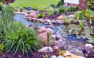 Landscaped koi pond with rocks, plants, and shallow stream